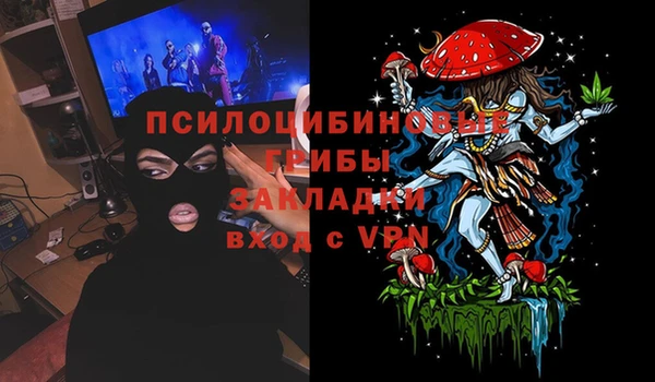 круглые Алзамай