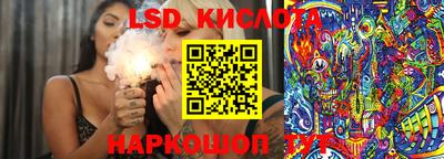 винт Партизанск