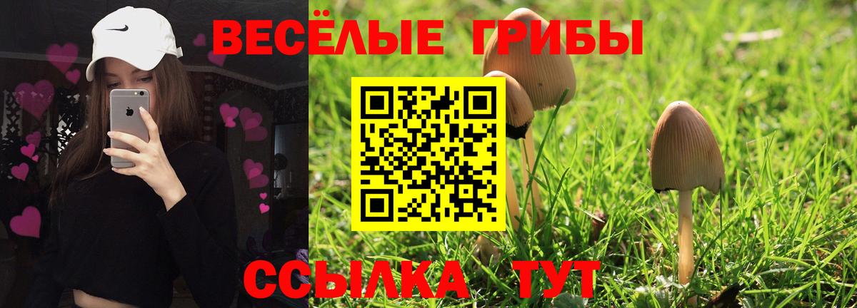 Арзамас  Псилоцибиновые грибы мицелий  Вход с VPN  купить   Псилоцибиновые грибы Cubensis 
